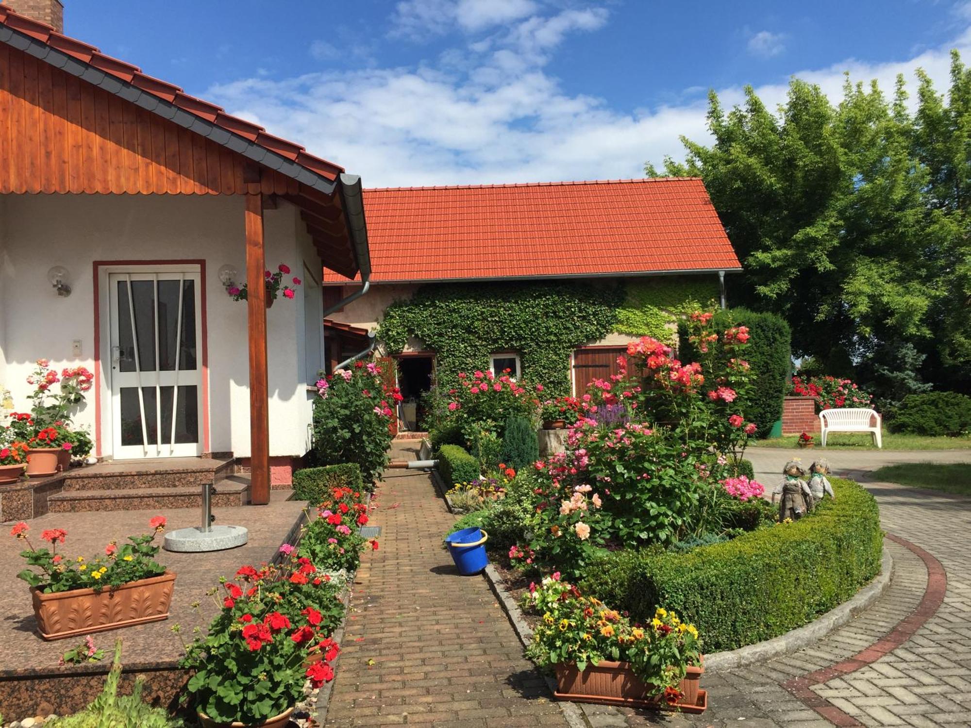 Top-Moderne Ferienwohnung Und Apartments Auf Frueherem Wunderschoenen Bauernhof Im Elbe-Elster-Kreis In Brandenburg Bei Herzberg-Elster, Schoenewalde, Holzdorf Ngoại thất bức ảnh