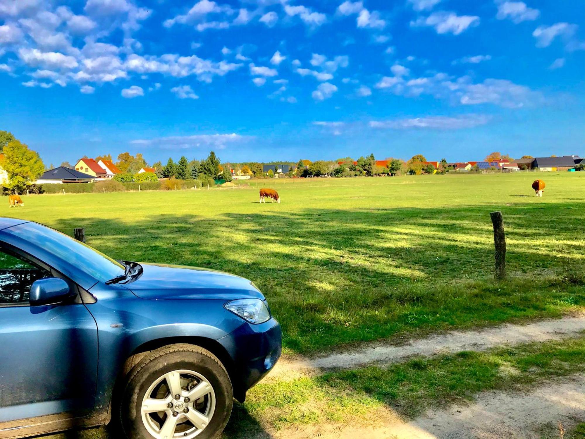 Top-Moderne Ferienwohnung Und Apartments Auf Frueherem Wunderschoenen Bauernhof Im Elbe-Elster-Kreis In Brandenburg Bei Herzberg-Elster, Schoenewalde, Holzdorf Ngoại thất bức ảnh