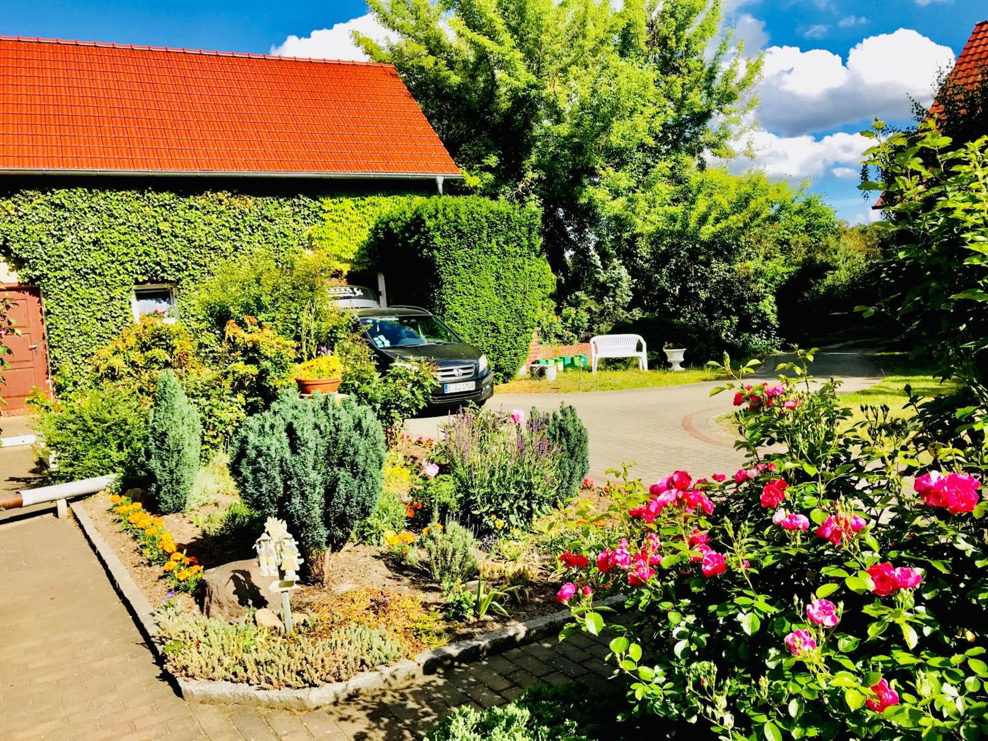 Top-Moderne Ferienwohnung Und Apartments Auf Frueherem Wunderschoenen Bauernhof Im Elbe-Elster-Kreis In Brandenburg Bei Herzberg-Elster, Schoenewalde, Holzdorf Ngoại thất bức ảnh